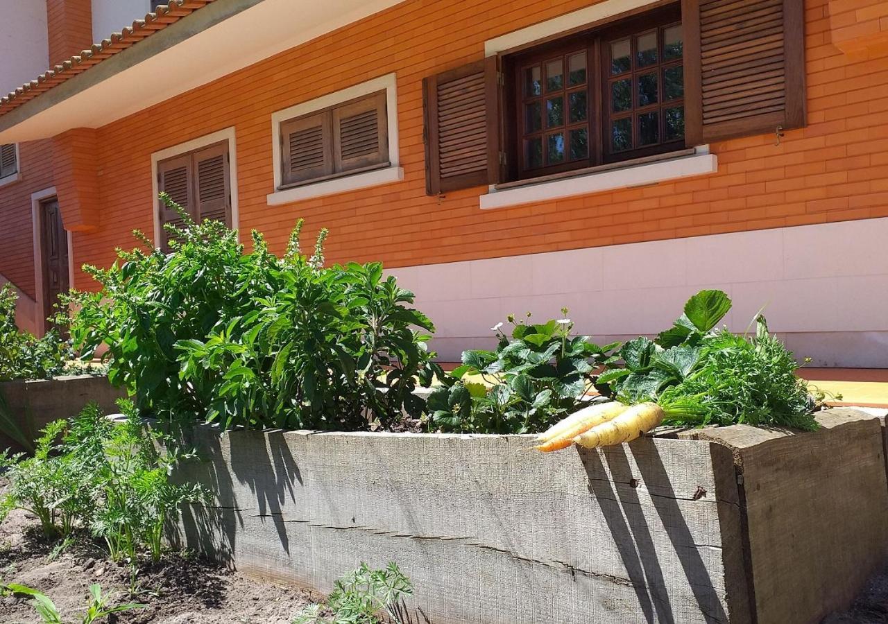 Greenside Of Sea Corujeira Exterior photo
