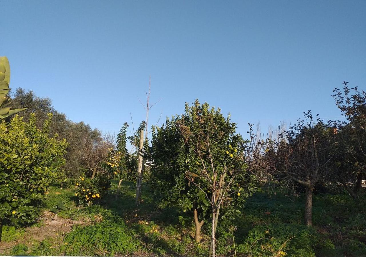 Greenside Of Sea Corujeira Exterior photo